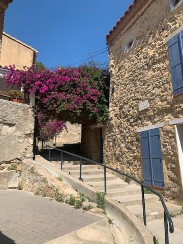 L'Olivier De Nonna Apartment Gruissan Exterior photo